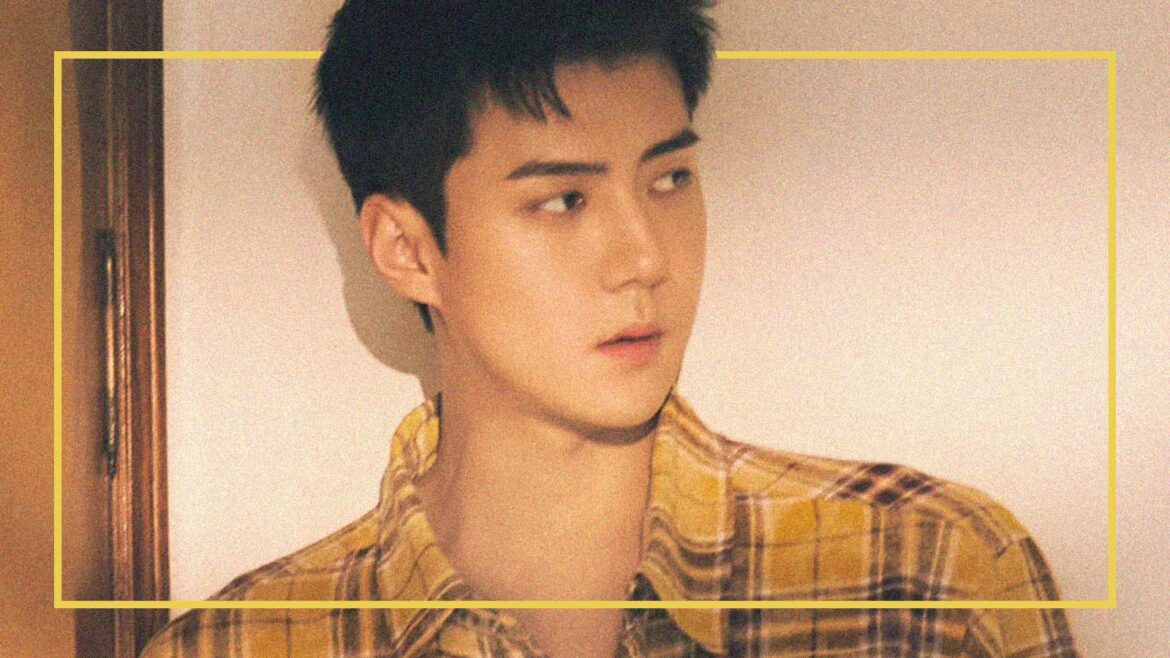 Which Oh Sehun Is Your Ultimate Bias?